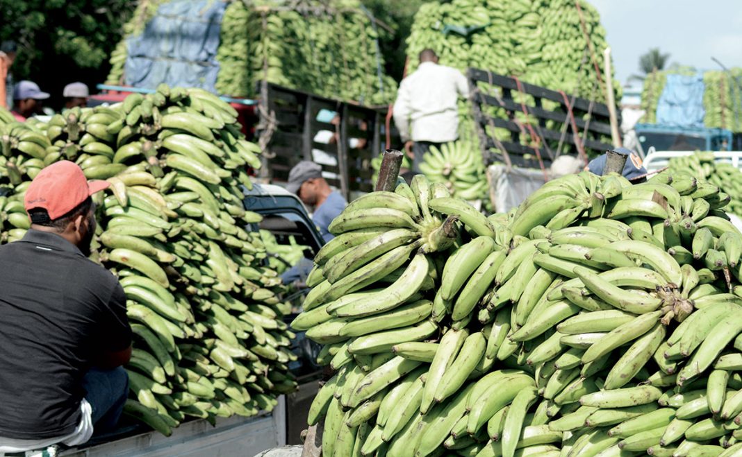 banco-central-informa-pollo-y-platanos-lideraron-alzas-de-precios-en-diciembre