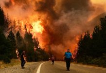 Ambientalistas atribuyen «ecocidio» en Patagonia a falta de fondos para combatir incendios ambientalistas-atribuyen-«ecocidio»-en-patagonia-a-falta-de-fondos-para-combatir-incendios