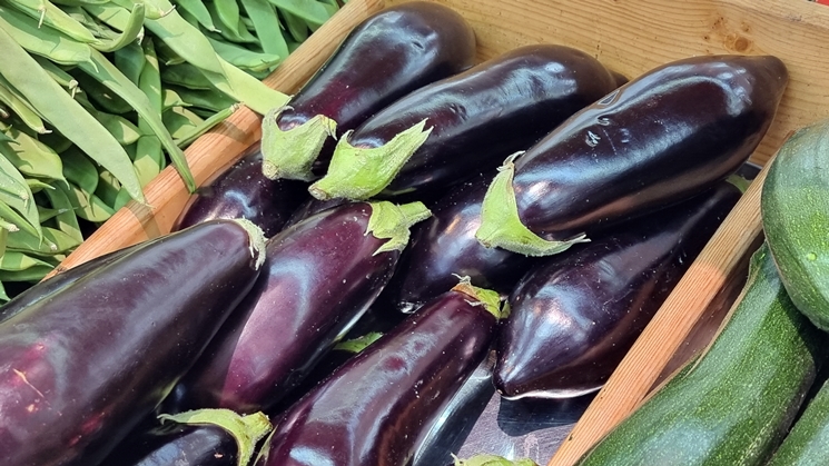 descubren-que-semillas-de-berenjena-podrian-ayudar-en-el-tratamiento-del-cancer-de-colon descubren-que-semillas-de-berenjena-podrian-ayudar-en-el-tratamiento-del-cancer-de-colon