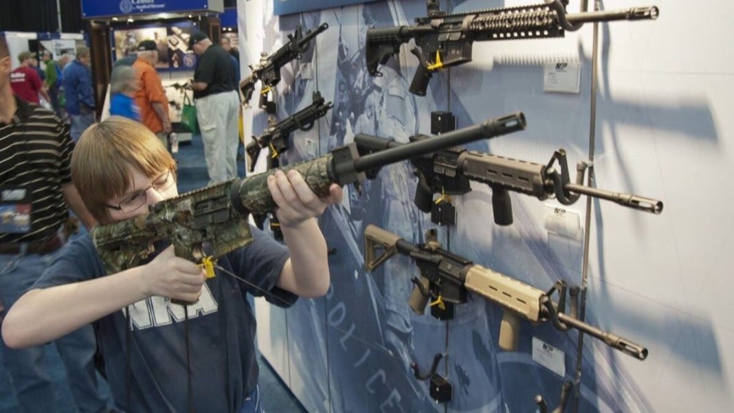 avanza-en-florida-ley-para-bajar-a-18-anos-la-edad-minima-para-comprar-rifles-y-escopetas