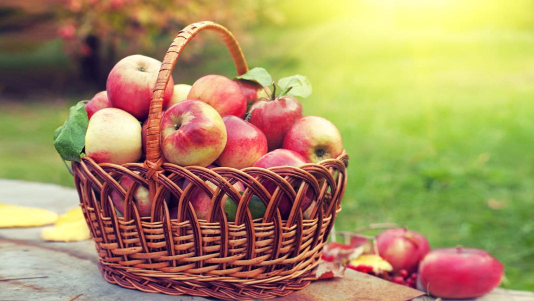 una-manzana-al-dia-podria-mejorar-la-salud-cardiovascular-y-metabolica una-manzana-al-dia-podria-mejorar-la-salud-cardiovascular-y-metabolica