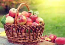 Una manzana al día podría mejorar la salud cardiovascular y metabólica una-manzana-al-dia-podria-mejorar-la-salud-cardiovascular-y-metabolica