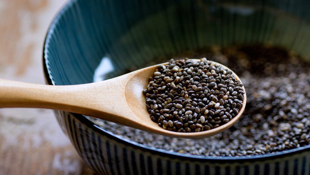 ¿puede-la-chia-«reprogramar»-tu-hambre?-lo-que-la-ciencia-acaba-de-descubrir ¿puede-la-chia-«reprogramar»-tu-hambre?-lo-que-la-ciencia-acaba-de-descubrir