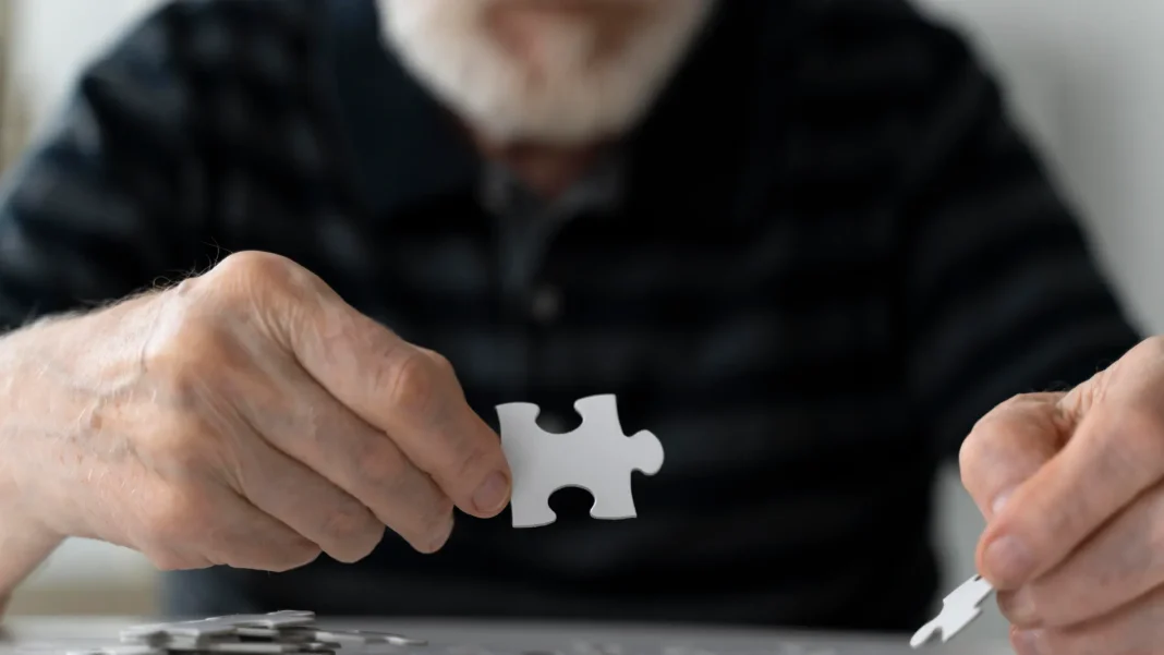 cientificos-de-harvard-explican-por-que-la-memoria-se-deteriora-con-la-edad cientificos-de-harvard-explican-por-que-la-memoria-se-deteriora-con-la-edad