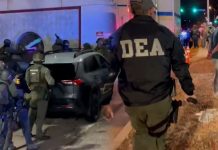 Más de 150 migrantes de México y Centroamérica detenidos en un operativo de ICE en Florida mas-de-150-migrantes-de-mexico-y-centroamerica-detenidos-en-un-operativo-de-ice-en-florida