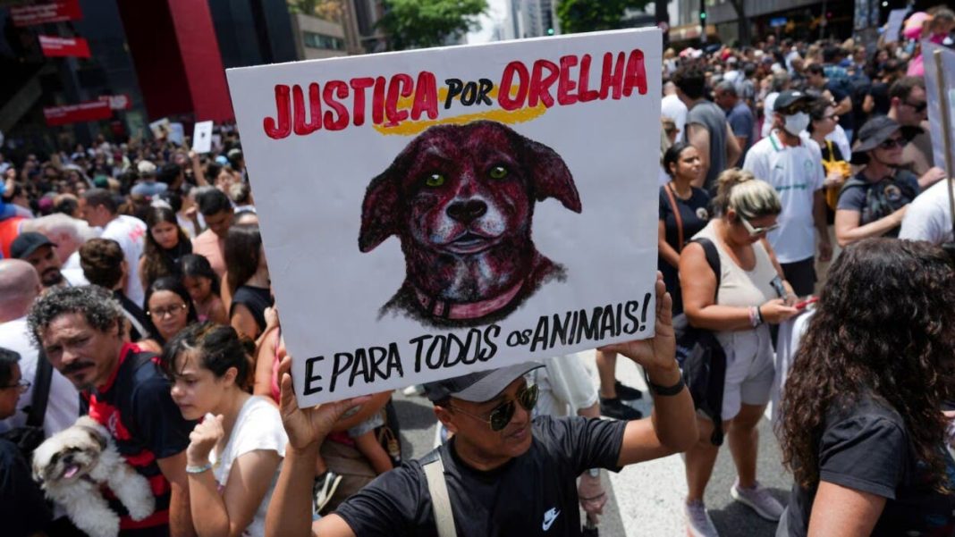 asesinato-a-perrito-comunitario-orelha-desata-protestas-en-brasil