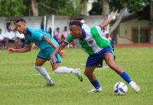 LDF: Delfines gana en Salcedo y es lider de la Liguilla ldf:-delfines-gana-en-salcedo-y-es-lider-de-la-liguilla