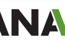 Pica y se Extiende: Recordando las hazañas de Robinson Canó y otros jugadores en el Clasico 2013 pica-y-se-extiende:-recordando-las-hazanas-de-robinson-cano-y-otros-jugadores-en-el-clasico-2013