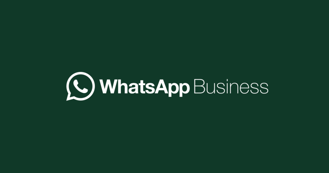 las-5-funciones-de-whatsapp-business-que-transformaran-tu-empresa