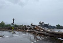 Tormenta invernal azota California: fuertes lluvias y nevadas impresionantes tormenta-invernal-azota-california:-fuertes-lluvias-y-nevadas-impresionantes