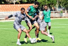 El domingo: Cibao FC y Moca FC cierran jornada 7 de la Liguilla en la LDF el-domingo:-cibao-fc-y-moca-fc-cierran-jornada-7-de-la-liguilla-en-la-ldf