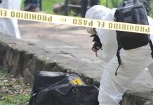 Investigan el hallazgo de restos de una mujer dentro de una maleta en São Paulo investigan-el-hallazgo-de-restos-de-una-mujer-dentro-de-una-maleta-en-sao-paulo