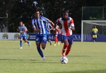 Delfines vencen 3-2 a O & M en la jornada 8 de la Liguilla LDF delfines-vencen-3-2-a-o-&-m en-la-jornada-8-de-la-liguilla-ldf