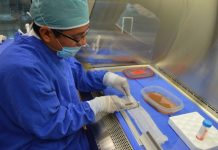 Impulsan activación del banco de piel en el Hospital Arturo Grullón impulsan-activacion-del-banco-de-piel-en-el-hospital-arturo-grullon