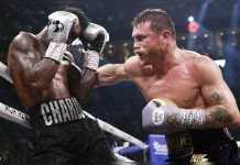 Entre Cuerdas “El Canelo”, sin nada seguro… entre-cuerdas-“el-canelo”,-sin-nada-seguro…