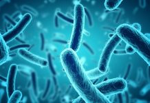 El objeto cotidiano con más bacterias que el celular el-objeto-cotidiano-con-mas-bacterias-que-el-celular