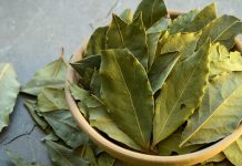 Laurel y agua tibia: el remedio casero para aliviar el cansancio de los pies laurel-y-agua-tibia:-el-remedio-casero-para-aliviar-el-cansancio-de-los-pies