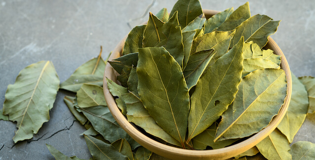 laurel-y-agua-tibia:-el-remedio-casero-para-aliviar-el-cansancio-de-los-pies laurel-y-agua-tibia:-el-remedio-casero-para-aliviar-el-cansancio-de-los-pies