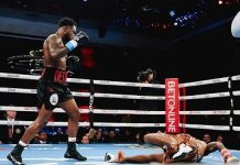 “El Caballo Bronco” imponente… “el-caballo-bronco”-imponente…