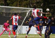 Delfines gana y clasifica, Moca y Cibao empatan delfines-gana-y-clasifica,-moca-y-cibao-empatan