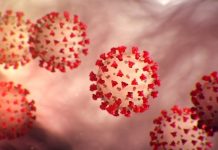 Autoridades recomiendan precaución ante aparición de nueva variante del Covid-19 autoridades-recomiendan-precaucion-ante-aparicion-de-nueva-variante-del-covid-19