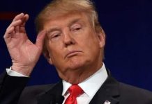 Trump: «La OTAN no estuvo ahí cuando la necesitábamos» trump:-«la-otan-no-estuvo-ahi-cuando-la-necesitabamos»