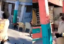 Jimmy Chérizier sorprende volando una chichigua tras meses de silencio en Haití jimmy-cherizier-sorprende-volando-una-chichigua-tras-meses-de-silencio-en-haiti