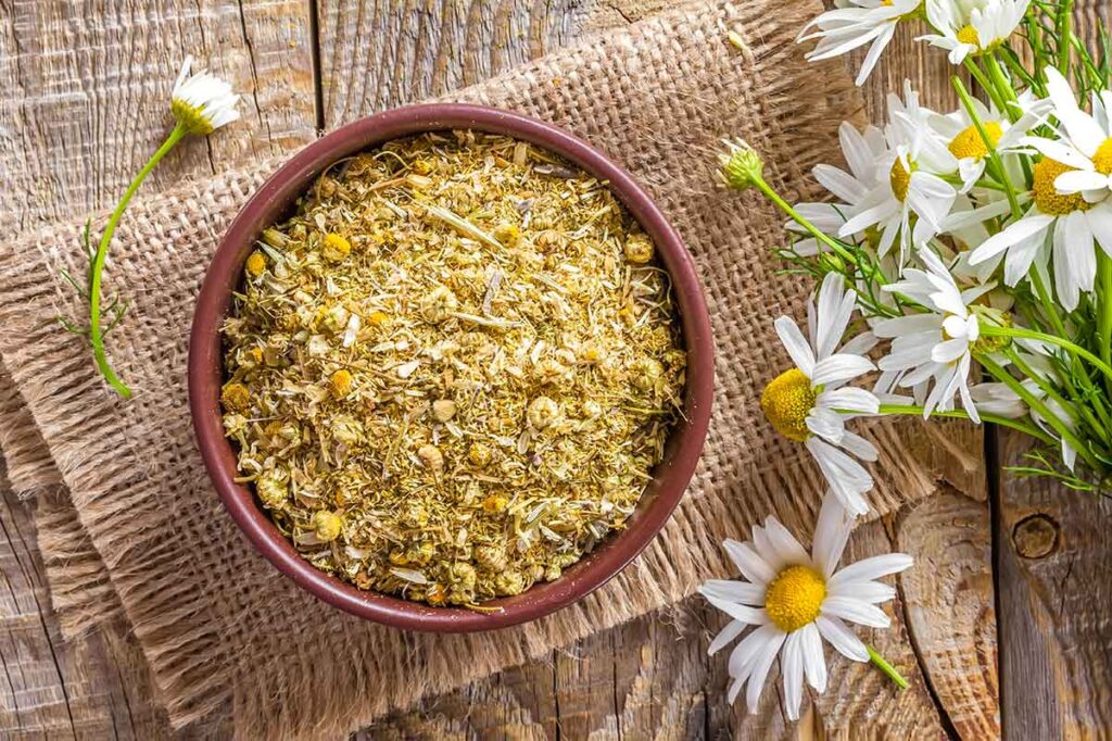 revelan-el-ingrediente-natural-que-potencia-el-mate-con-efecto-calmante-y-digestivo. revelan-el-ingrediente-natural-que-potencia-el-mate-con-efecto-calmante-y-digestivo.