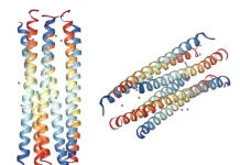 Identifican mecanismo natural en personas que combaten el virus de la gripe identifican-mecanismo-natural-en-personas-que-combaten-el-virus-de-la-gripe
