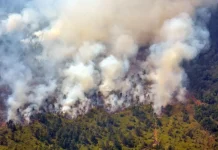 Un incendio aún activo ha quemado más de 400 hectáreas de bosque al oeste de Cuba un-incendio-aun-activo-ha-quemado-mas-de-400-hectareas-de-bosque-al-oeste-de-cuba