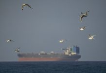 Irán abre el estrecho de Ormuz hasta el fin del alto el fuego con EE.UU. iran-abre-el-estrecho-de-ormuz-hasta-el-fin-del-alto-el-fuego-con-eeuu.