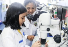 Niñas y mujeres en tecnología: el reto de construir trayectorias sostenibles en Perú ninas-y-mujeres-en-tecnologia:-el-reto-de-construir-trayectorias-sostenibles-en-peru