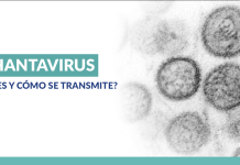 ¿Qué es el hantavirus y cómo se contagia? La peligrosa enfermedad que mantiene en alerta mundial ¿que-es-el-hantavirus-y-como-se-contagia?-la-peligrosa-enfermedad-que-mantiene-en-alerta-mundial