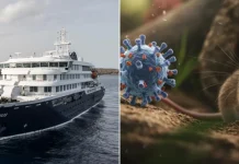 Canadá eleva a seis el número de personas aisladas en el país por riesgo de hantavirus canada-eleva-a-seis-el-numero-de-personas-aisladas-en-el-pais-por-riesgo-de-hantavirus
