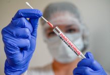 Hantavirus puede ser más contagioso al inicio de la enfermedad, advierte OMS hantavirus-puede-ser-mas-contagioso-al-inicio-de-la-enfermedad,-advierte-oms