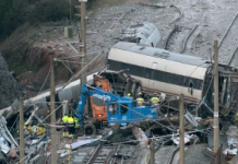 Seis fallecidos dentro de un tren en la frontera de EE.UU. eran de México y Honduras seis-fallecidos-dentro-de-un-tren-en-la-frontera-de-eeuu.-eran-de-mexico-y-honduras