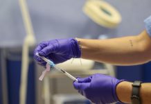 EMA analiza posibles terapias contra hantavirus y alerta sobre noticias falsas ema-analiza-posibles-terapias-contra-hantavirus-y-alerta-sobre-noticias-falsas