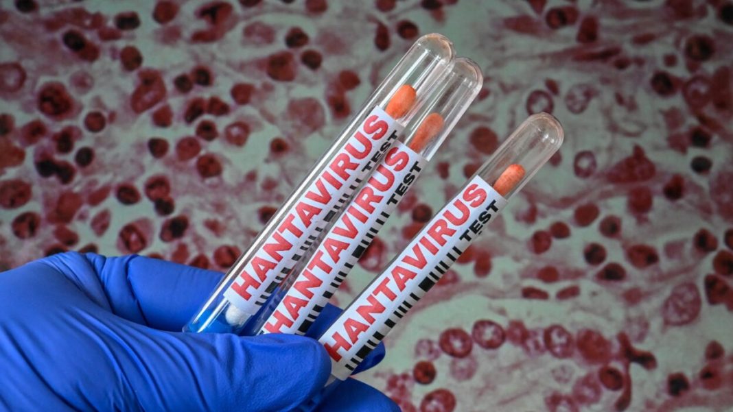 crisis-de-hantavirus:-11-casos-y-bajo-riesgo-segun-la-oms