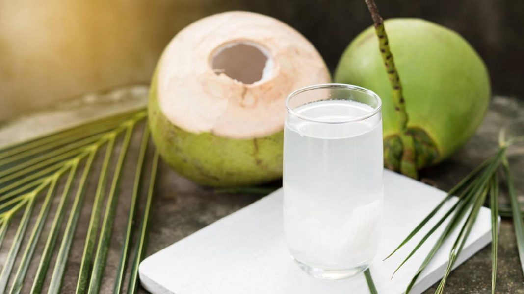 agua-de-coco-gana-popularidad-por-sus-propiedades-hidratantes-y-beneficios-naturales