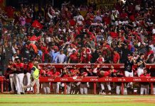 Madrugaron: Lones del Escogido inician su venta de abonos para torneo 2026-27 madrugaron:-lones -del-escogido-inician-su-venta-de-abonos-para-torneo-2026-27