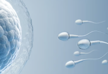 Fertilidad: señales de alerta y recomendaciones para su cuidado fertilidad:-senales-de-alerta-y-recomendaciones-para-su-cuidado