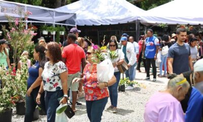 jarabacoa-celebra-los-15-anos-del-festival-de-las-flores-con-una-edicion-historica jarabacoa-celebra-los-15-anos-del-festival-de-las-flores-con-una-edicion-historica